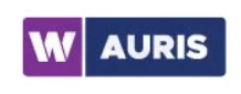 auris.PNG